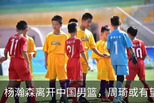 杨瀚森离开中国男篮，周琦或有望重返国家队